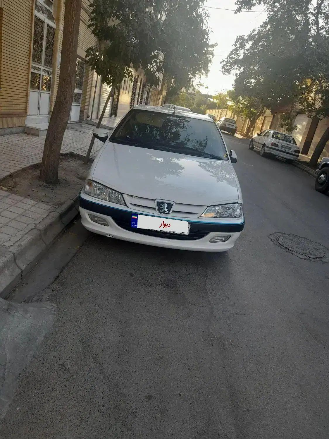 پژو پارس ELX-XU7P سفارشی - 1394