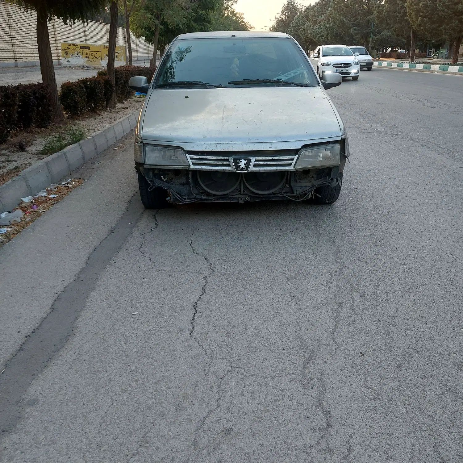 خودرو پژو، 405 آگهی ann_19866975
