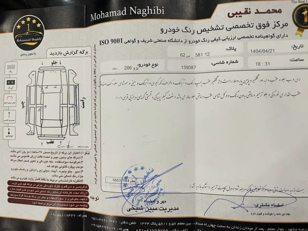 پژو 206 تیپ 2 - 1389