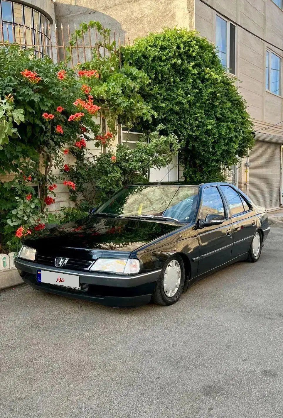خودرو پژو، 405 آگهی ann_19871555