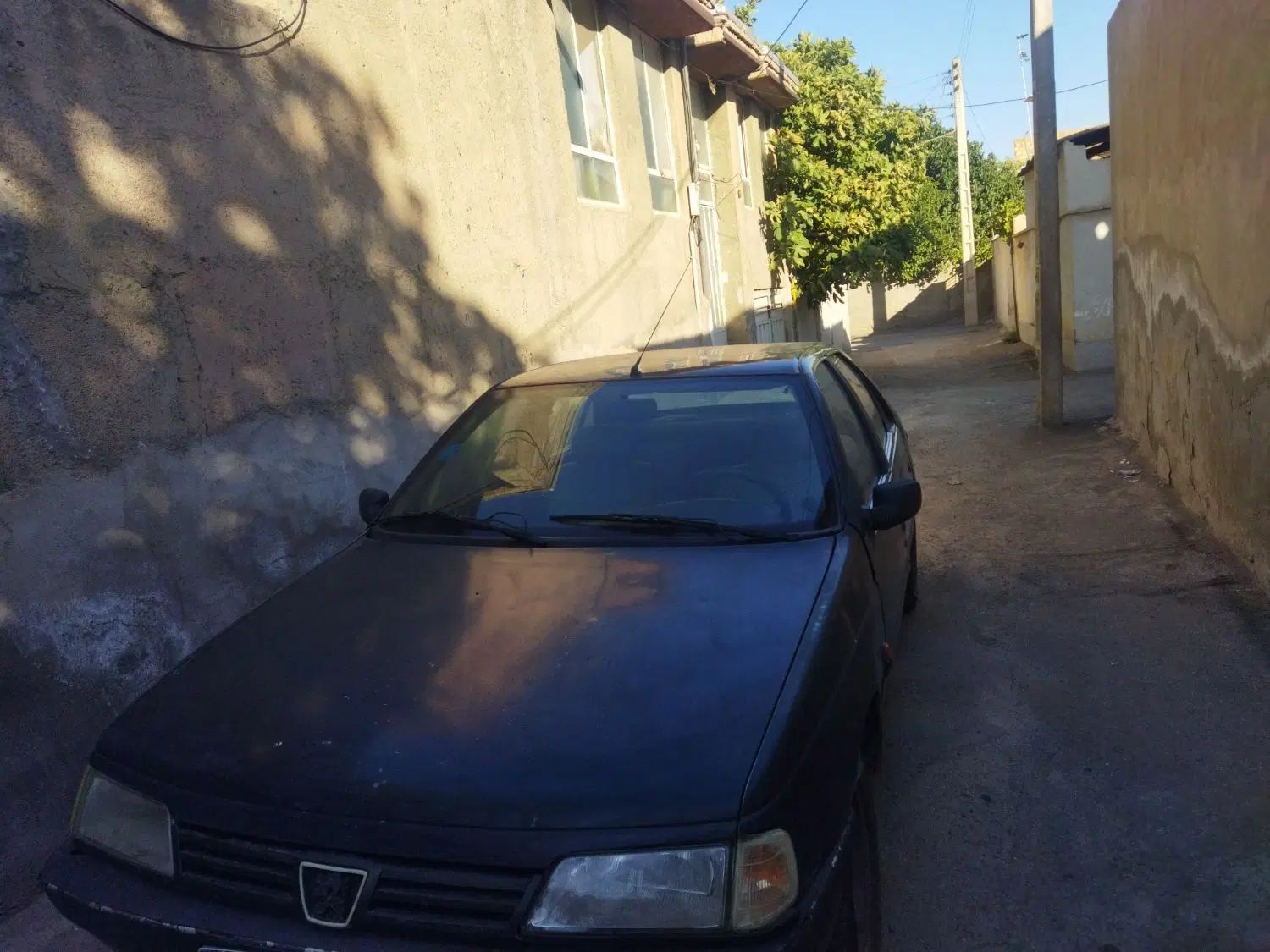 پژو آردی دوگانه سوز CNG - 1384