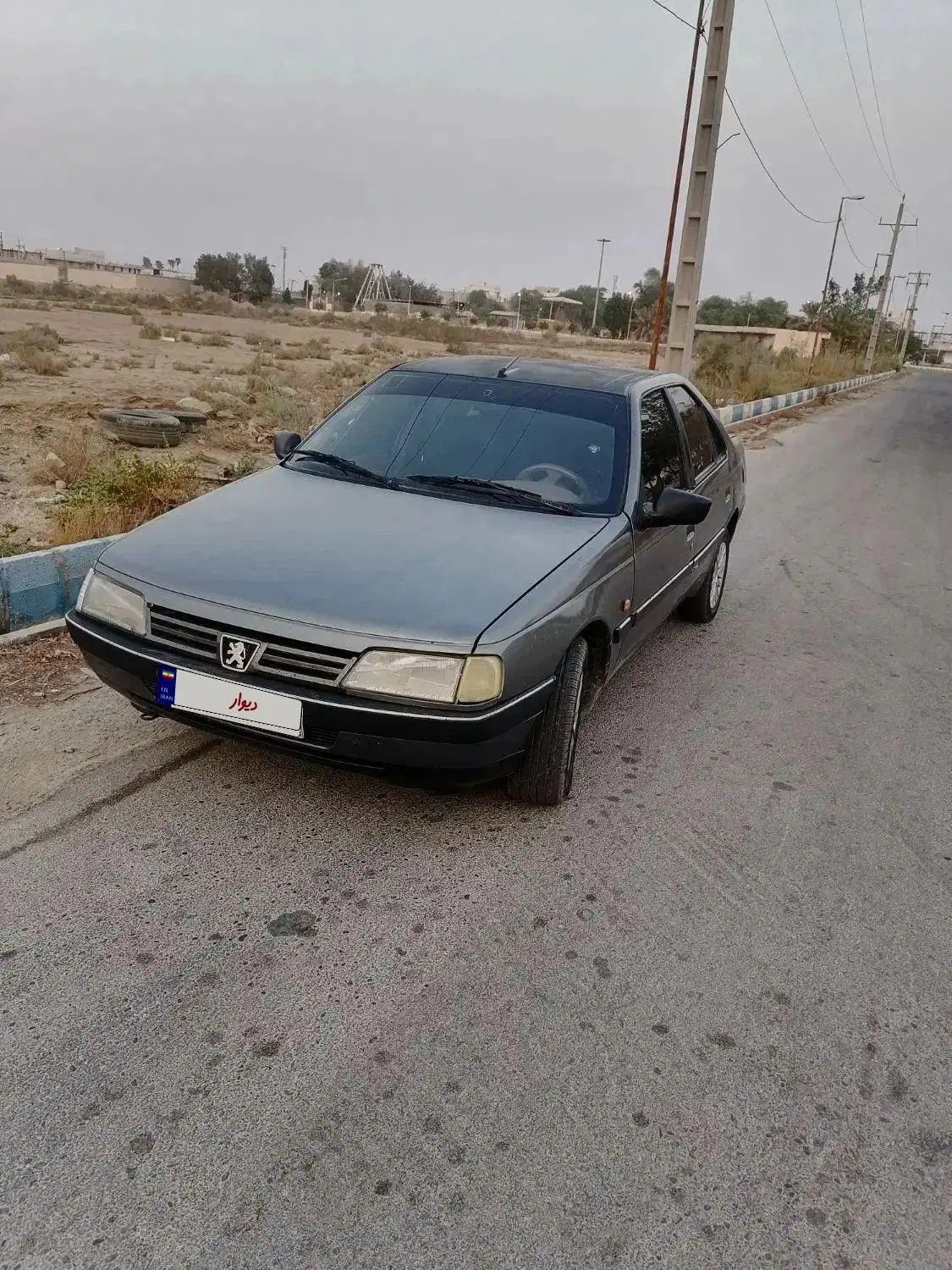 پژو 405 GL - دوگانه سوز CNG - 1376