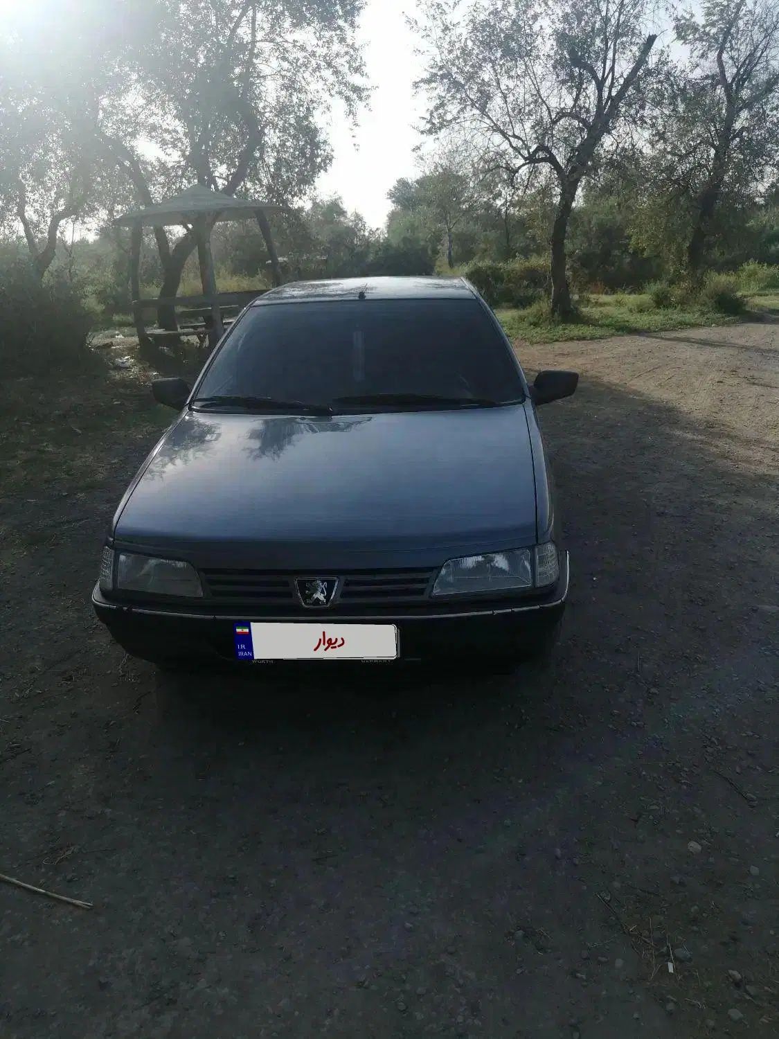 پژو 405 GLX - دوگانه سوز - 1390
