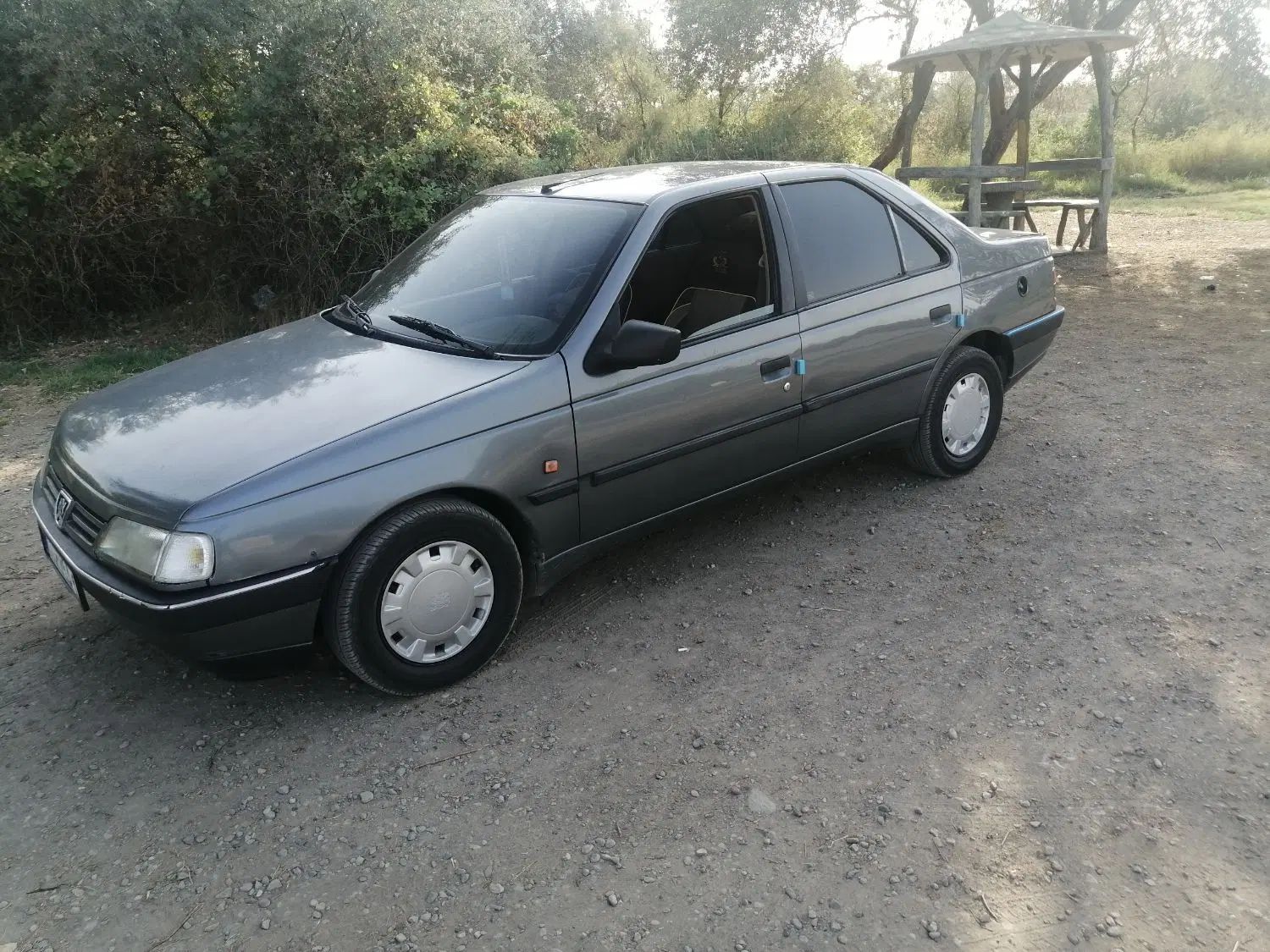 پژو 405 GLX - دوگانه سوز - 1390