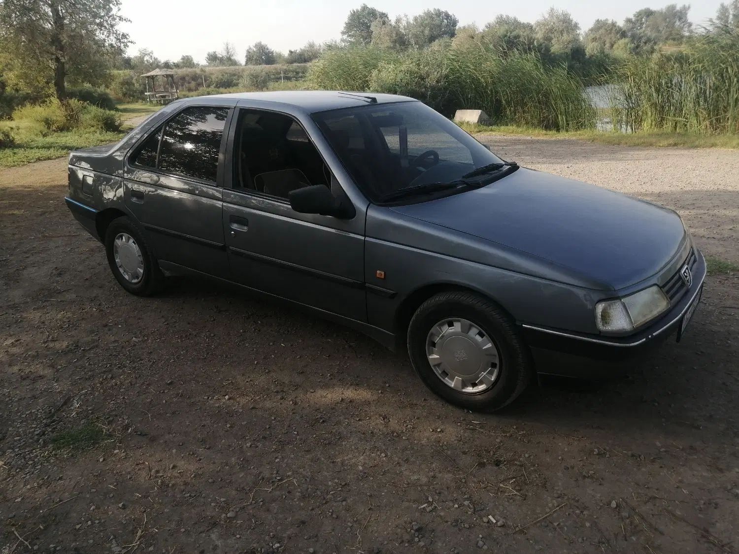پژو 405 GLX - دوگانه سوز - 1390