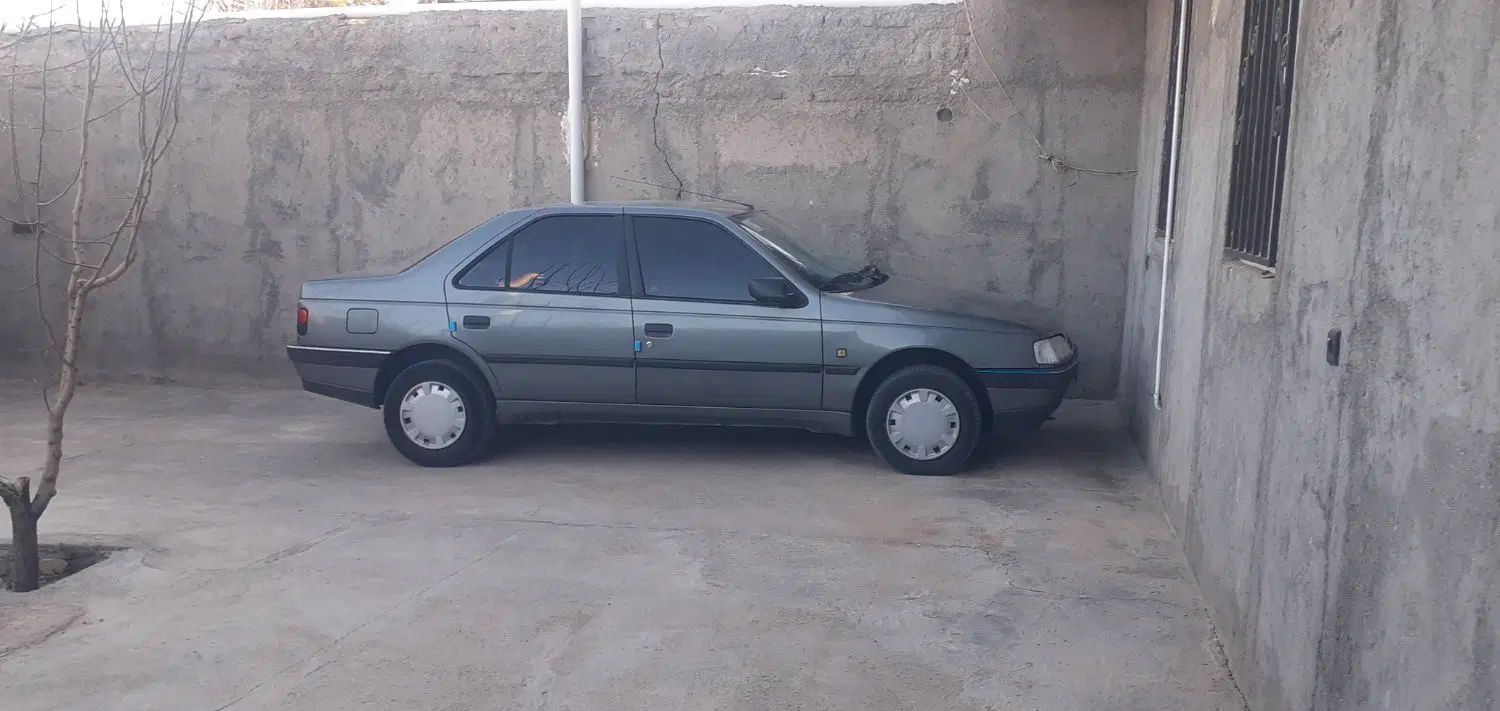 خودرو پژو، 405 آگهی ann_19874123