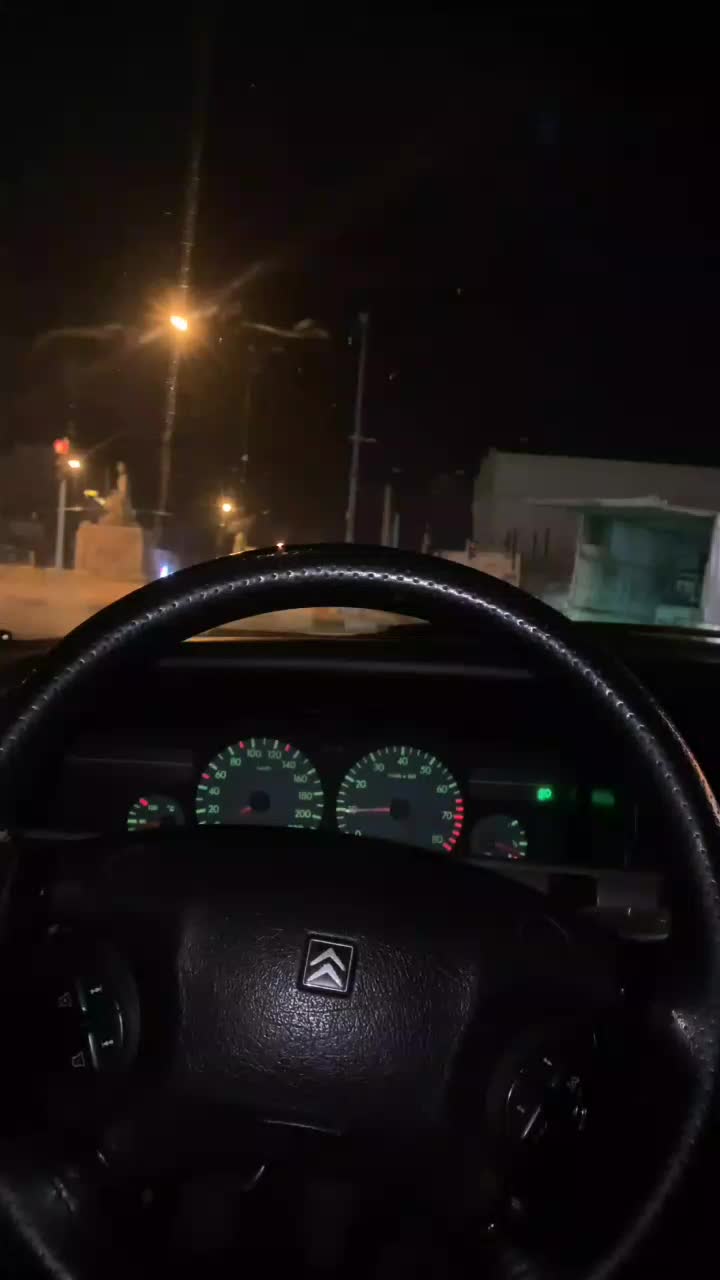سیتروئن زانتیا SX - 1385