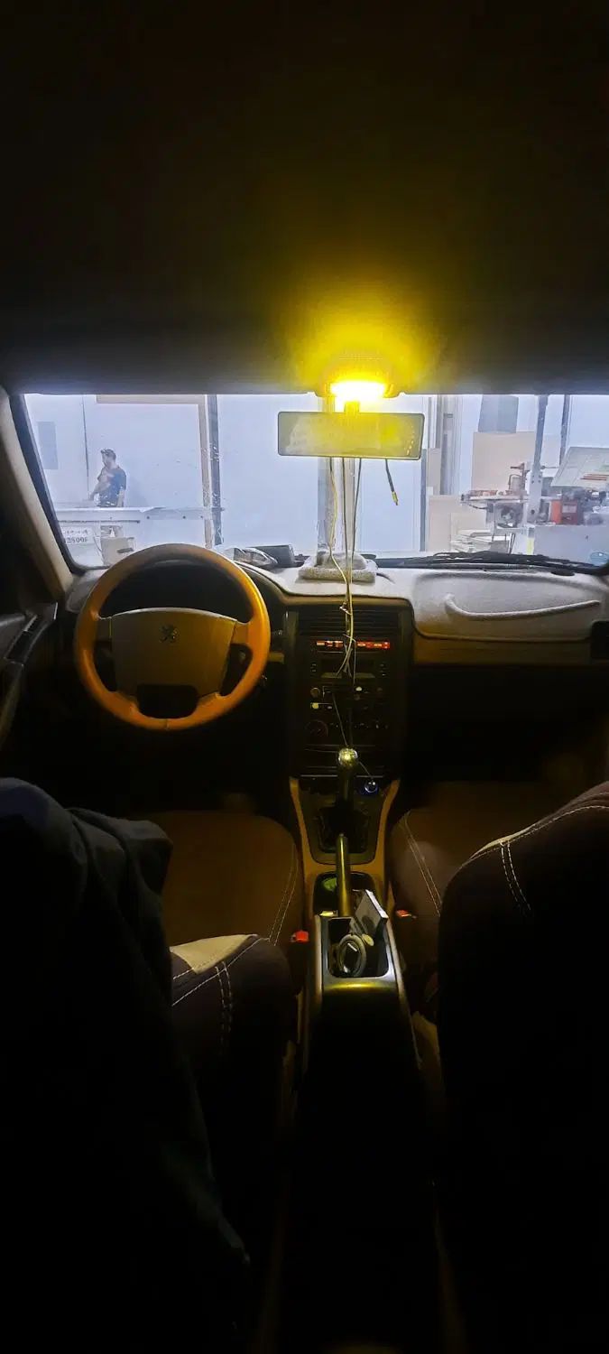 پژو 405 GL - دوگانه سوز CNG - 1379