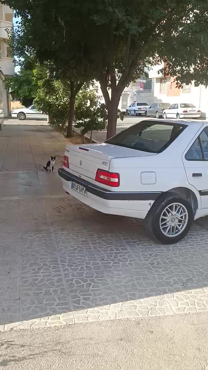 خودرو پژو، 405 SLX آگهی ann_19876028