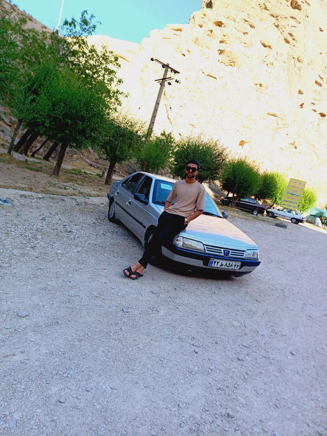 پژو 405 GLX - دوگانه سوز - 1384