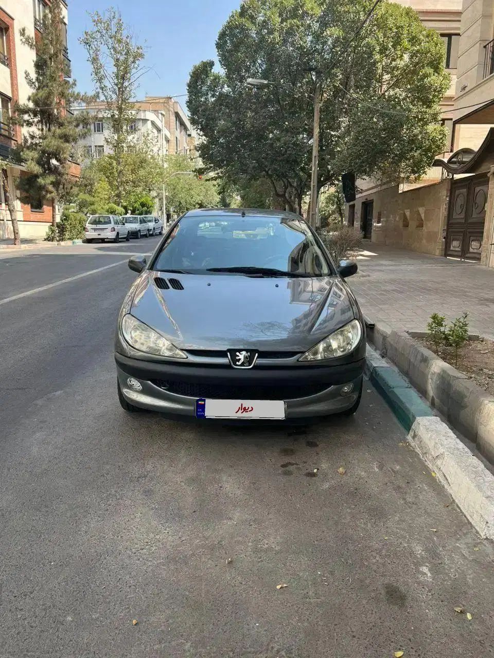 خودرو پژو، ۲۰۶ صندوق دار آگهی ann_19879724