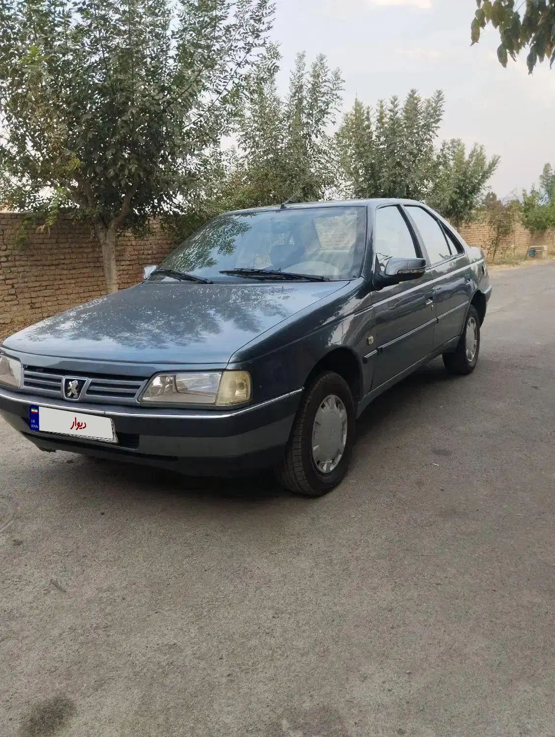پژو 405 GLX - دوگانه سوز - 1394