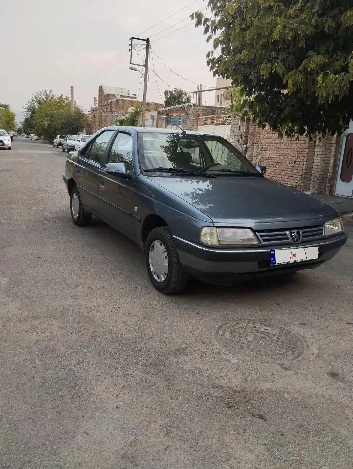 خودرو پژو، 405 آگهی ann_19879784