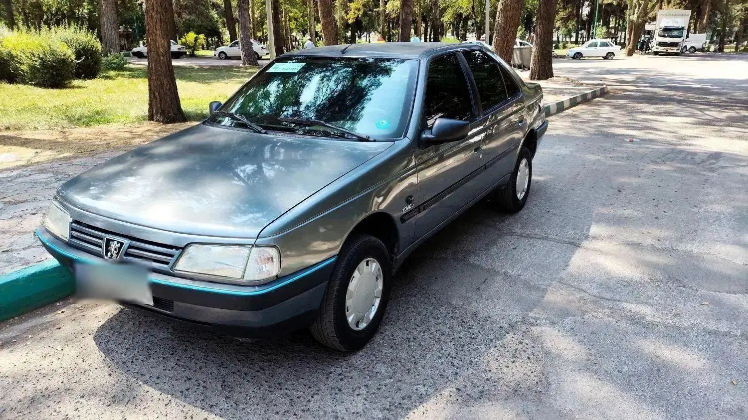 پژو 405 GLX - دوگانه سوز - 1390