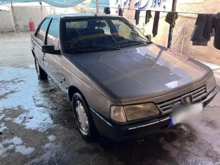 خودرو پژو، 405 آگهی ann_19880415