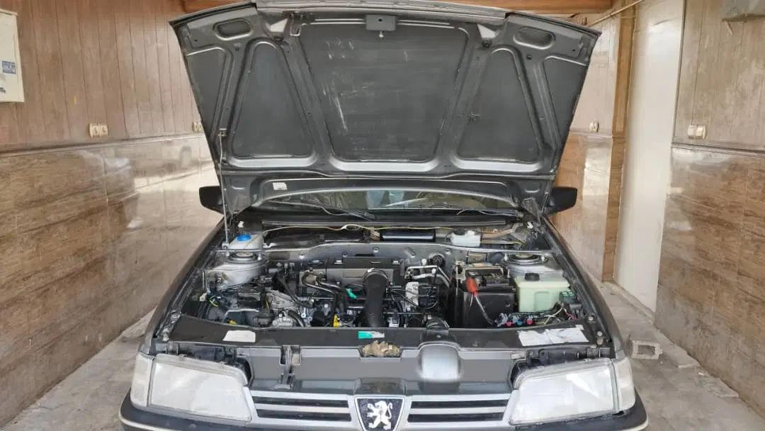 پژو 405 GLX - دوگانه سوز - 1389