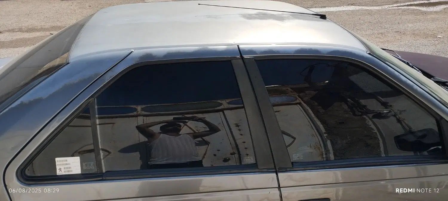 پژو 405 GLX - دوگانه سوز - 1394