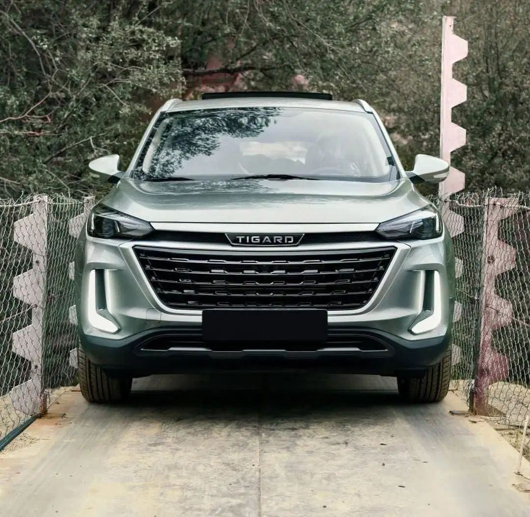 تیگارد X35 ساده - 1404