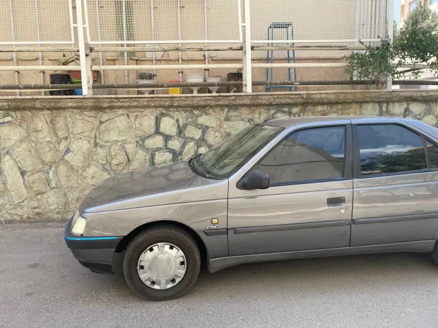 پژو 405 GLX - دوگانه سوز - 1391