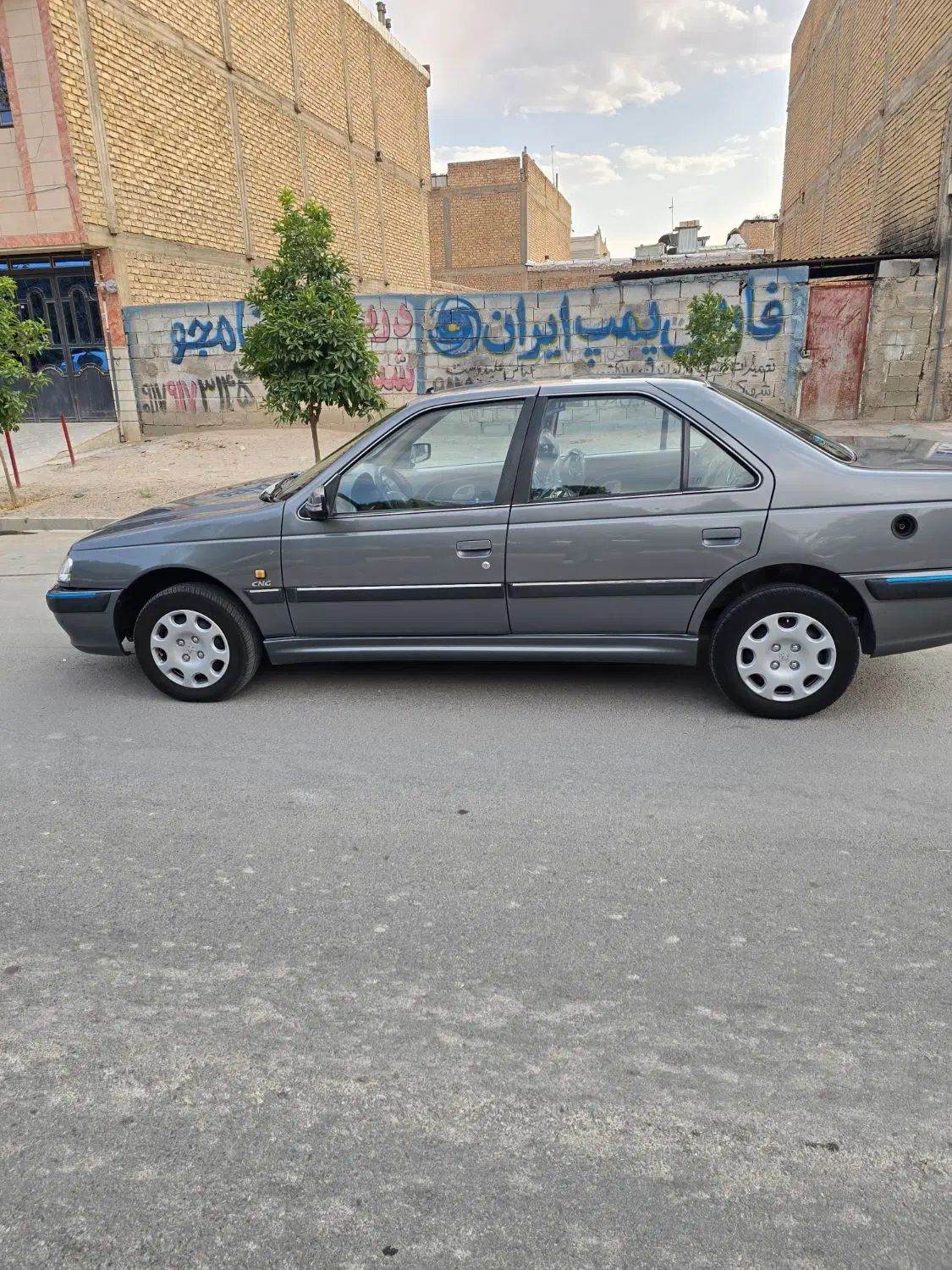 پژو پارس دوگانه سوز - 1393