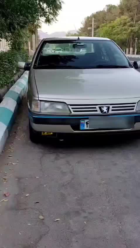 خودرو پژو، 405 آگهی ann_19887841