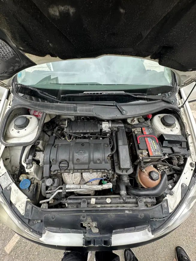 پژو ۲۰۶ صندوق دار v8 - 1396