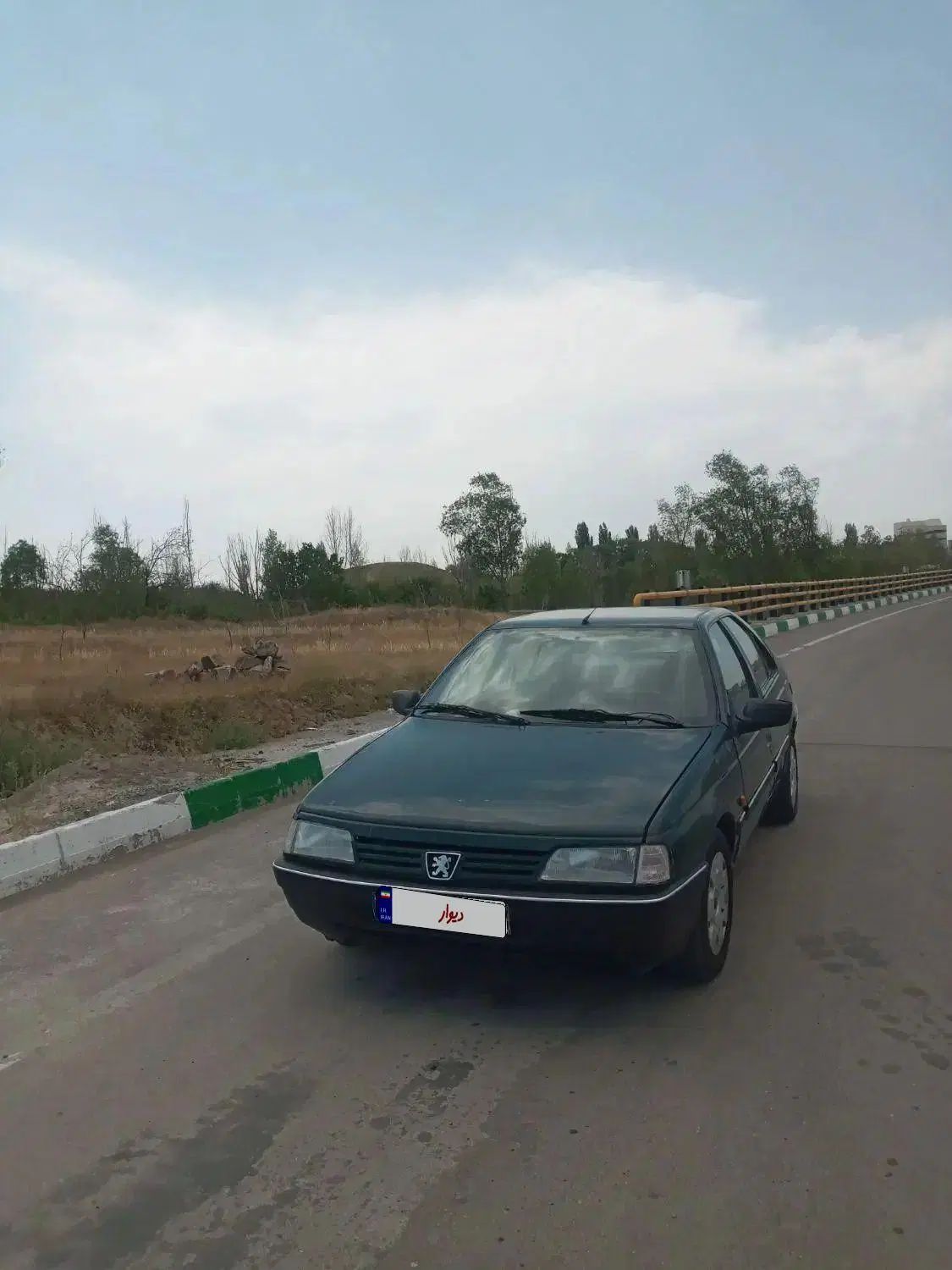 پژو آردی RDI - 1384