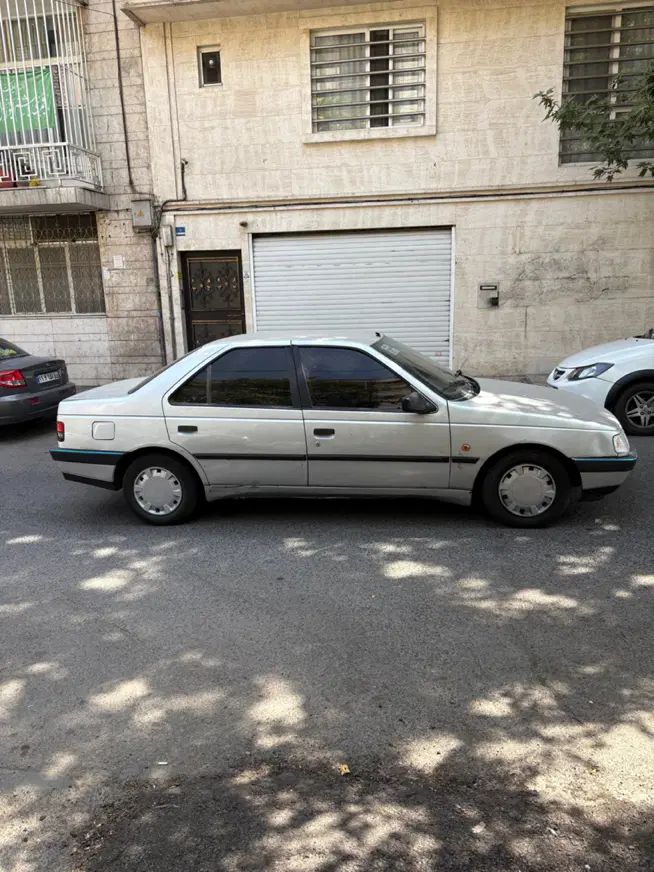 پژو 405 GLX - دوگانه سوز - 1391