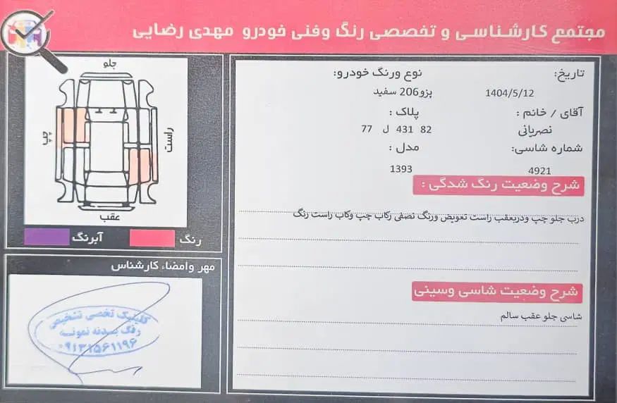 پژو 206 تیپ 5 - 1393