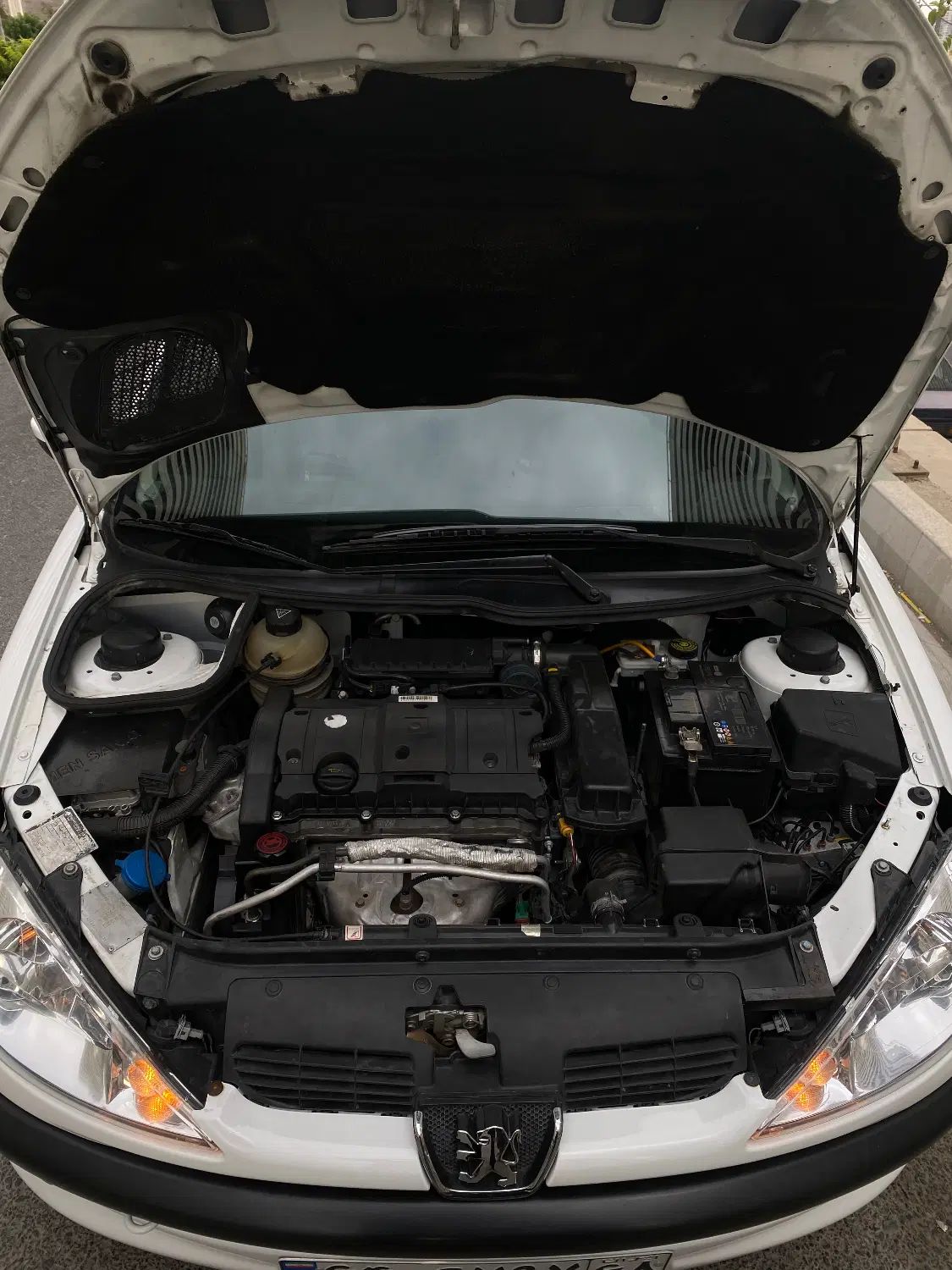 پژو ۲۰۶ صندوق دار v8 - 1389