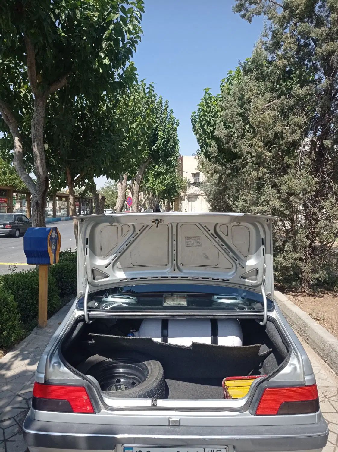 پژو روآ G2 دوگانه سوز - 1388