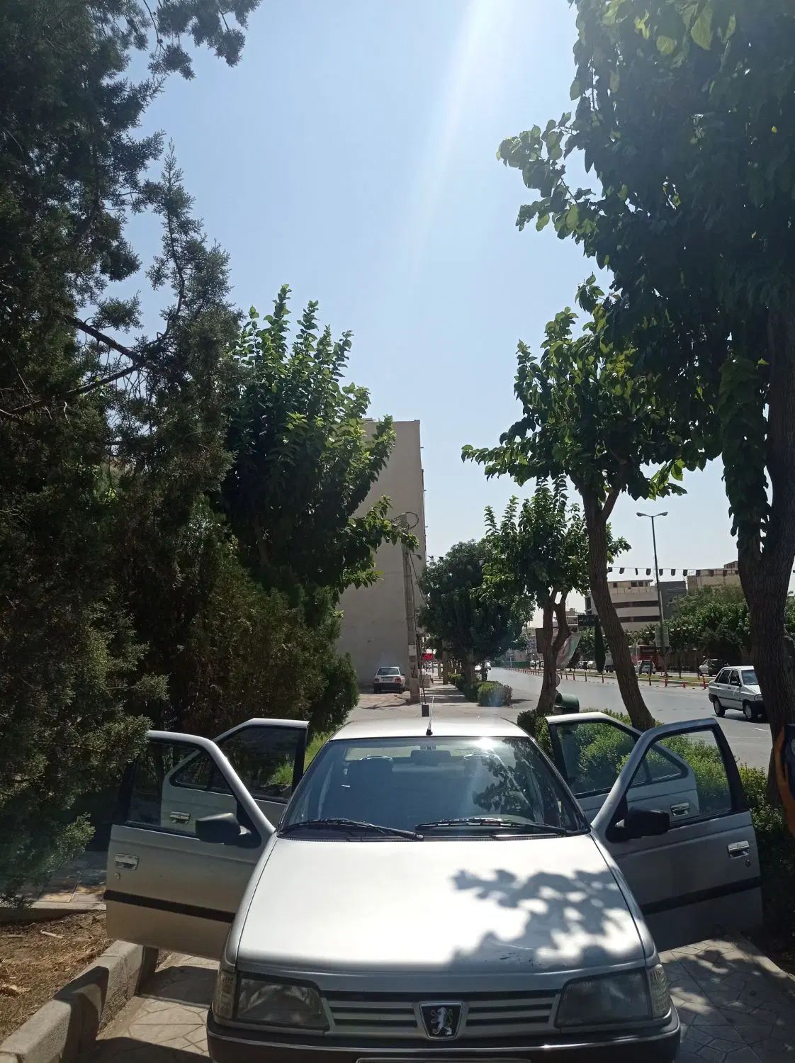 پژو روآ G2 دوگانه سوز - 1388
