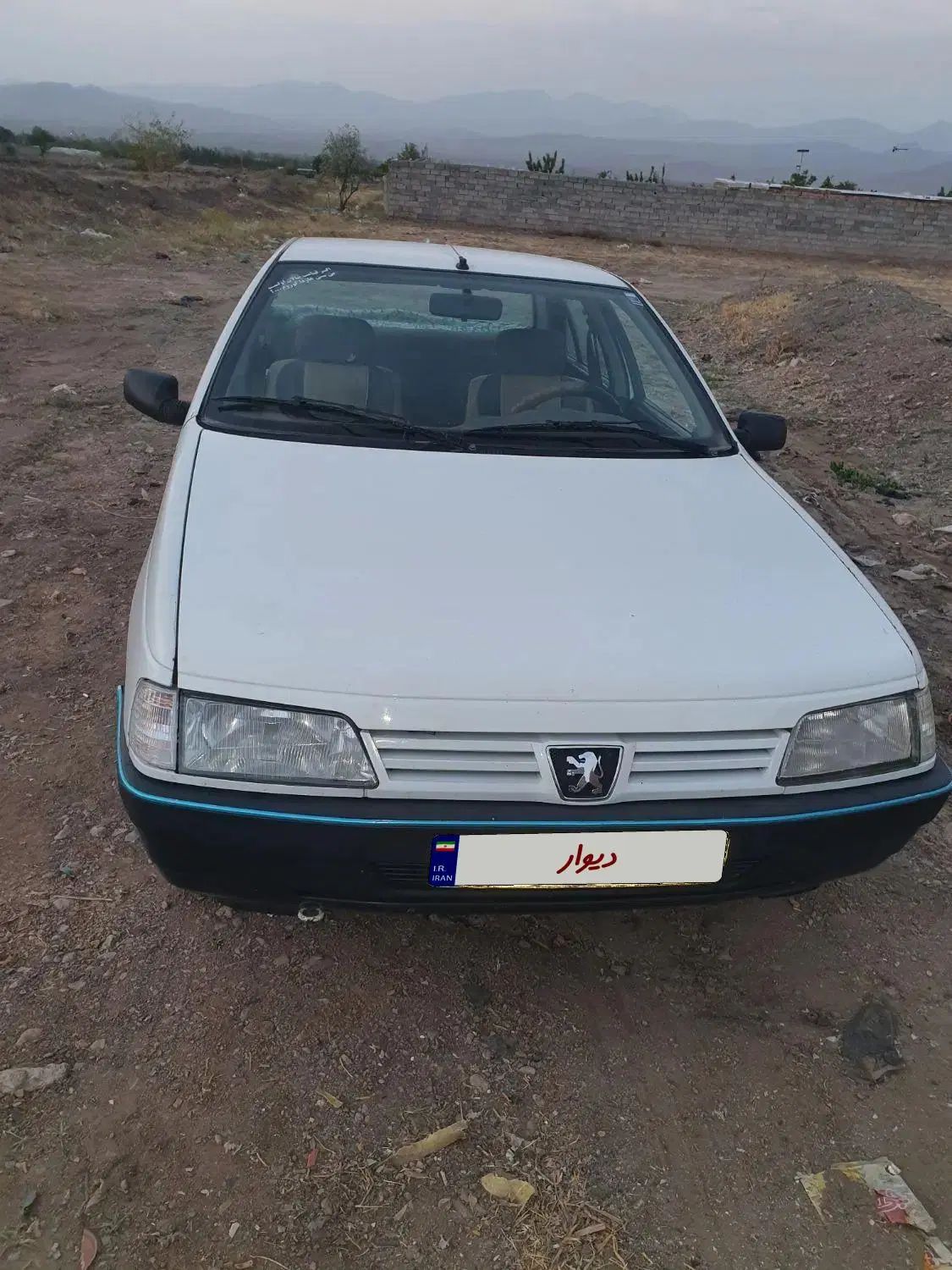 پژو آردی دوگانه سوز CNG - 1384