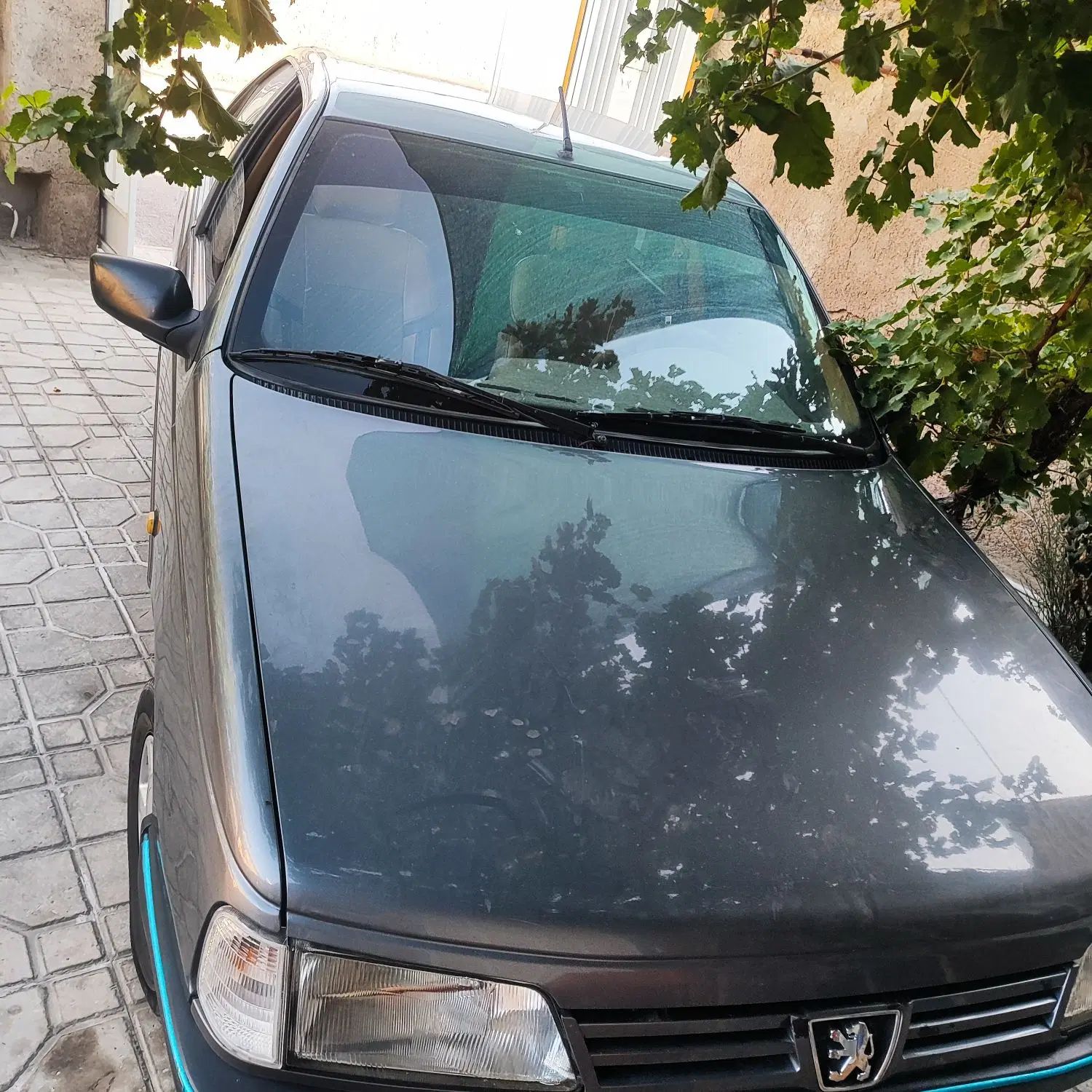 پژو 405 GLX - دوگانه سوز - 1395