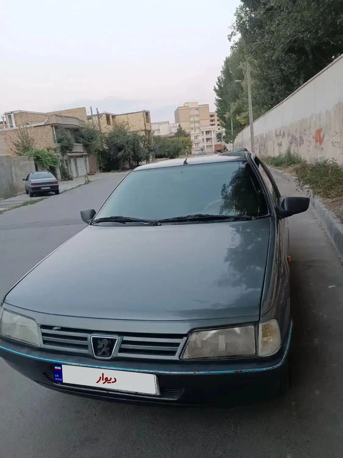 پژو 405 بنزینی GLX - TU5 - 1392