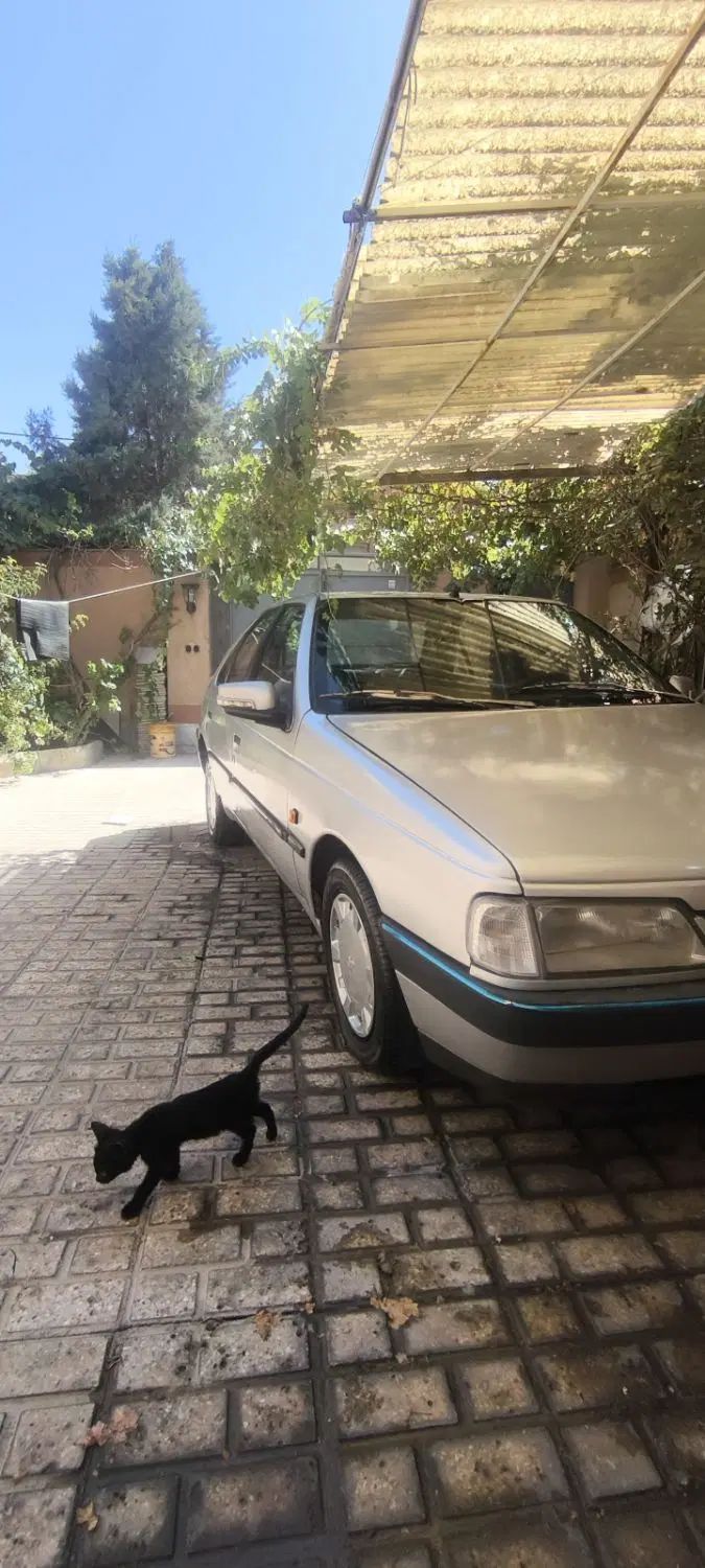 پژو 405 GLX - 1385
