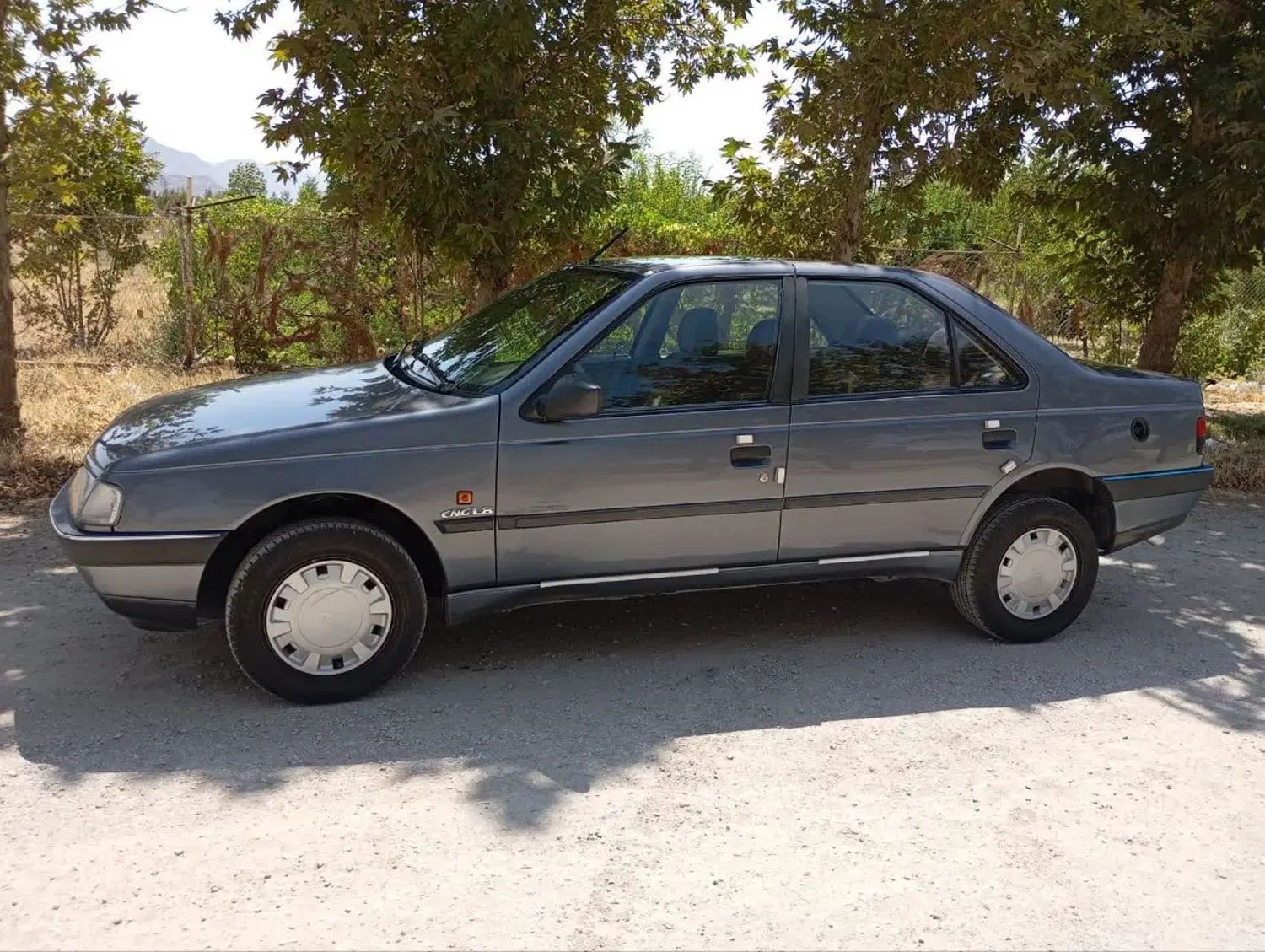 پژو 405 GLX - دوگانه سوز - 1395
