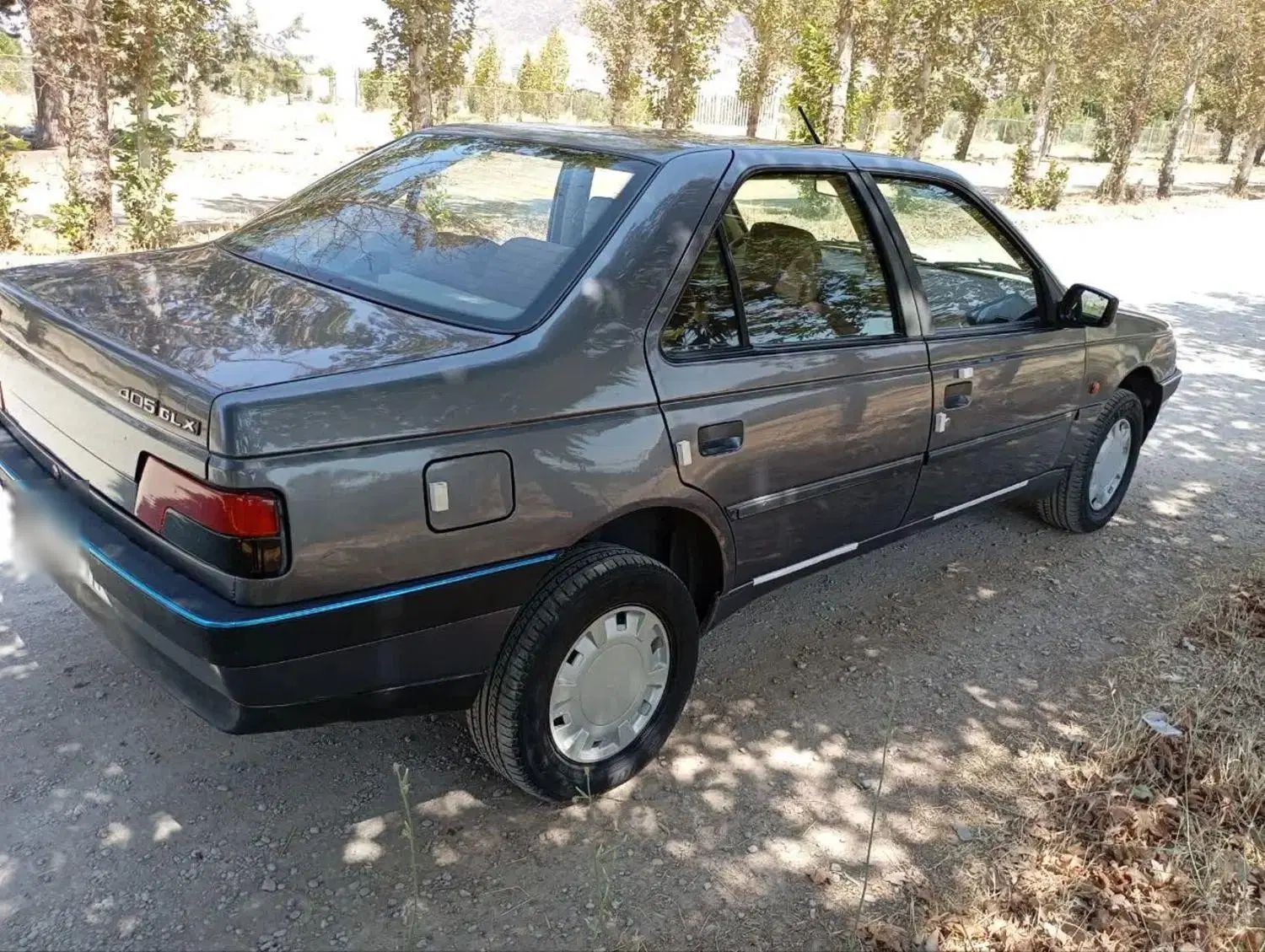 پژو 405 GLX - دوگانه سوز - 1395