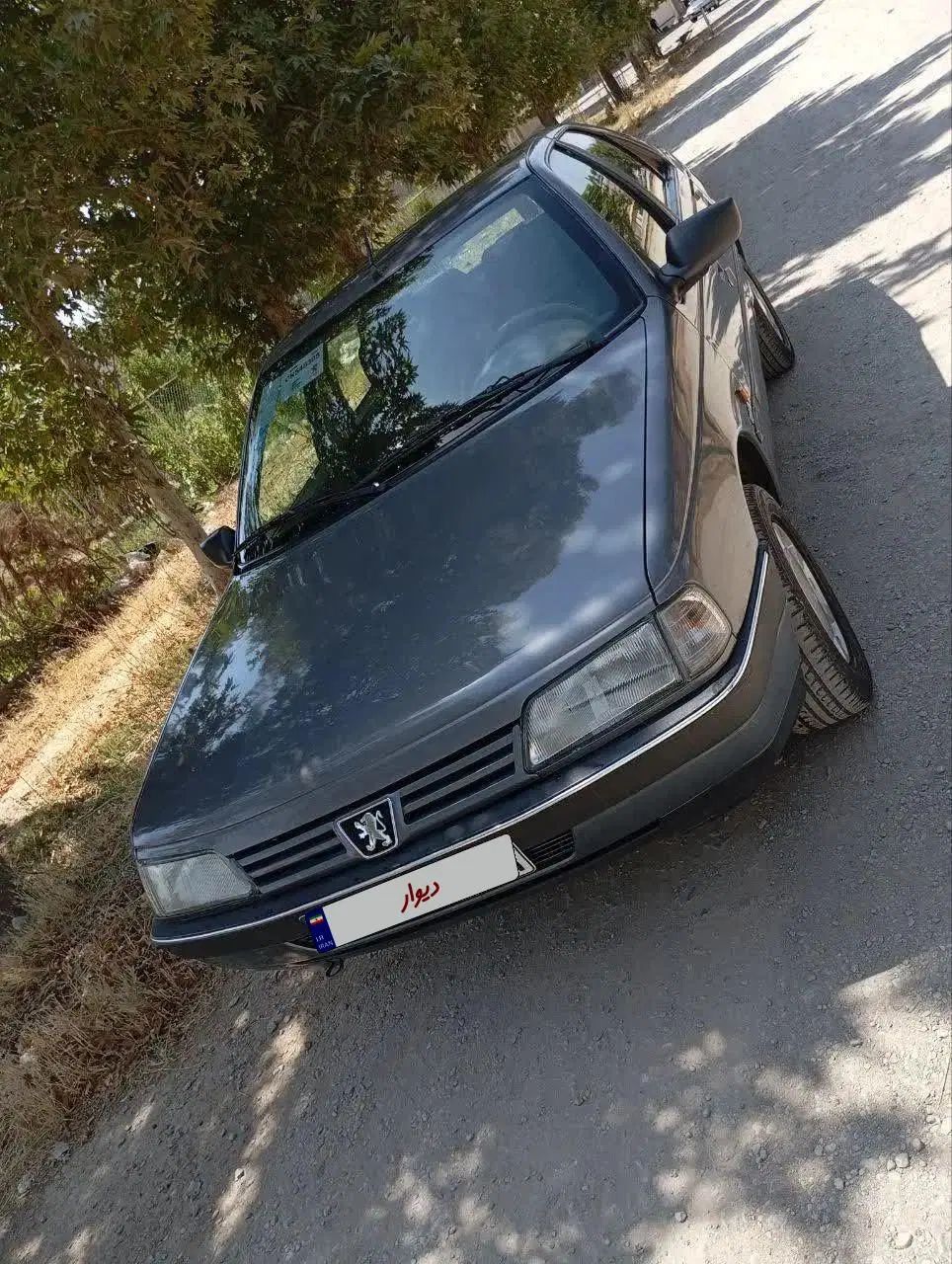 پژو 405 GLX - دوگانه سوز - 1395