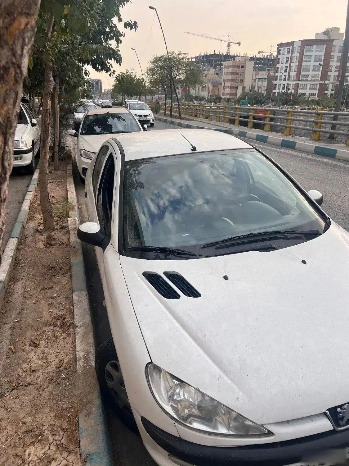 پژو 206 تیپ 5 - 1394