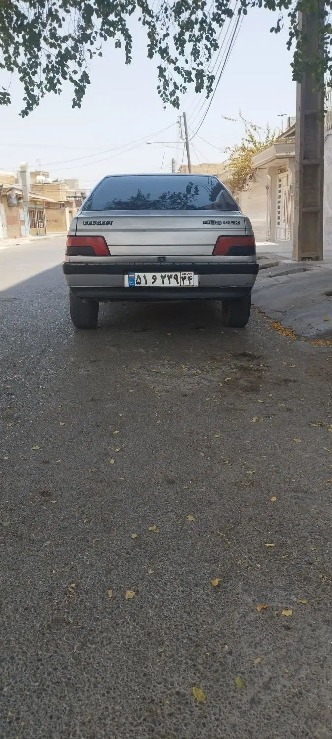 پژو 405 GLX - دوگانه سوز - 1391