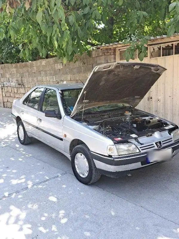 پژو 405 GLX - دوگانه سوز - 1389