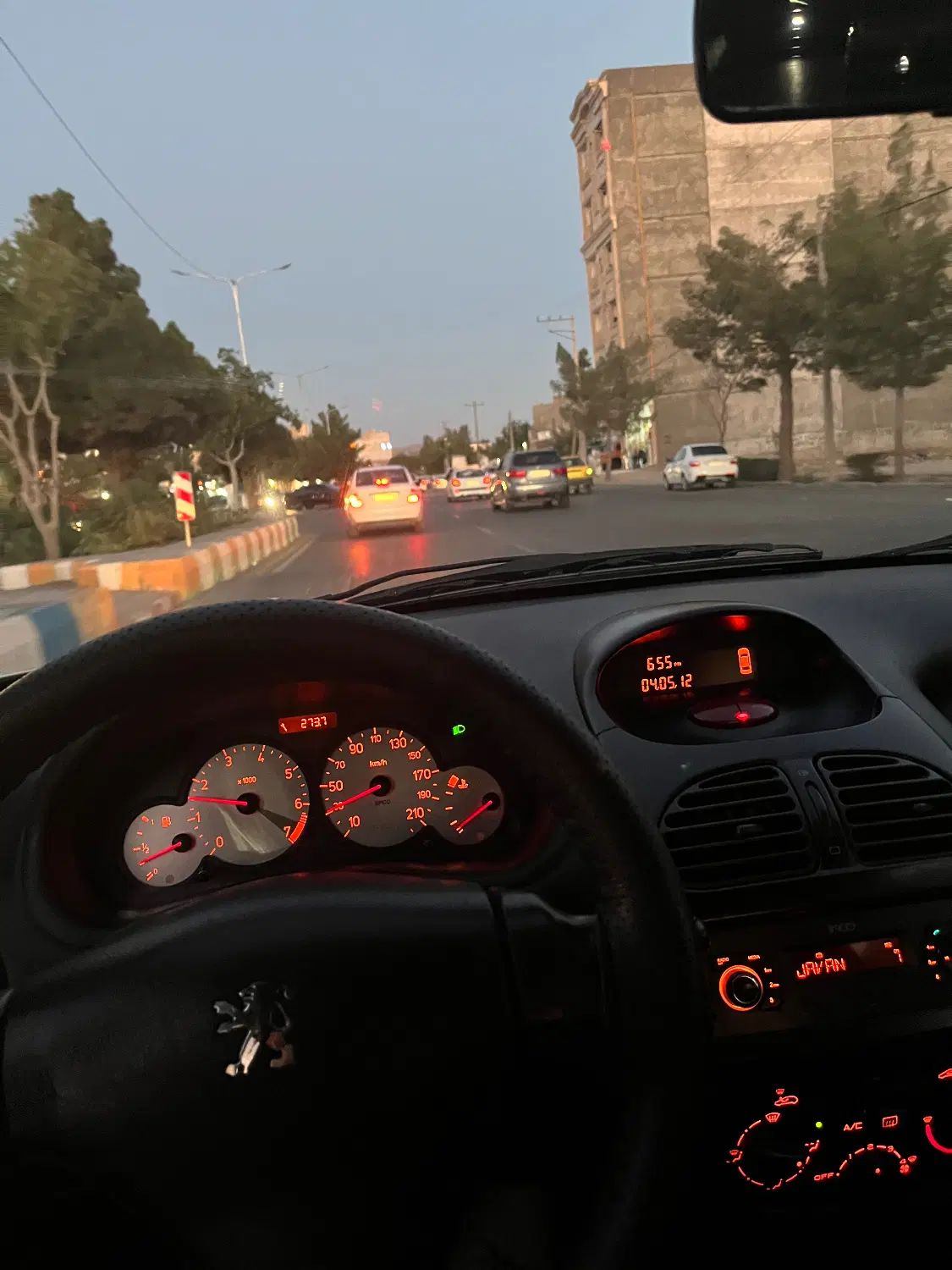 پژو 206 تیپ 2 - 1399