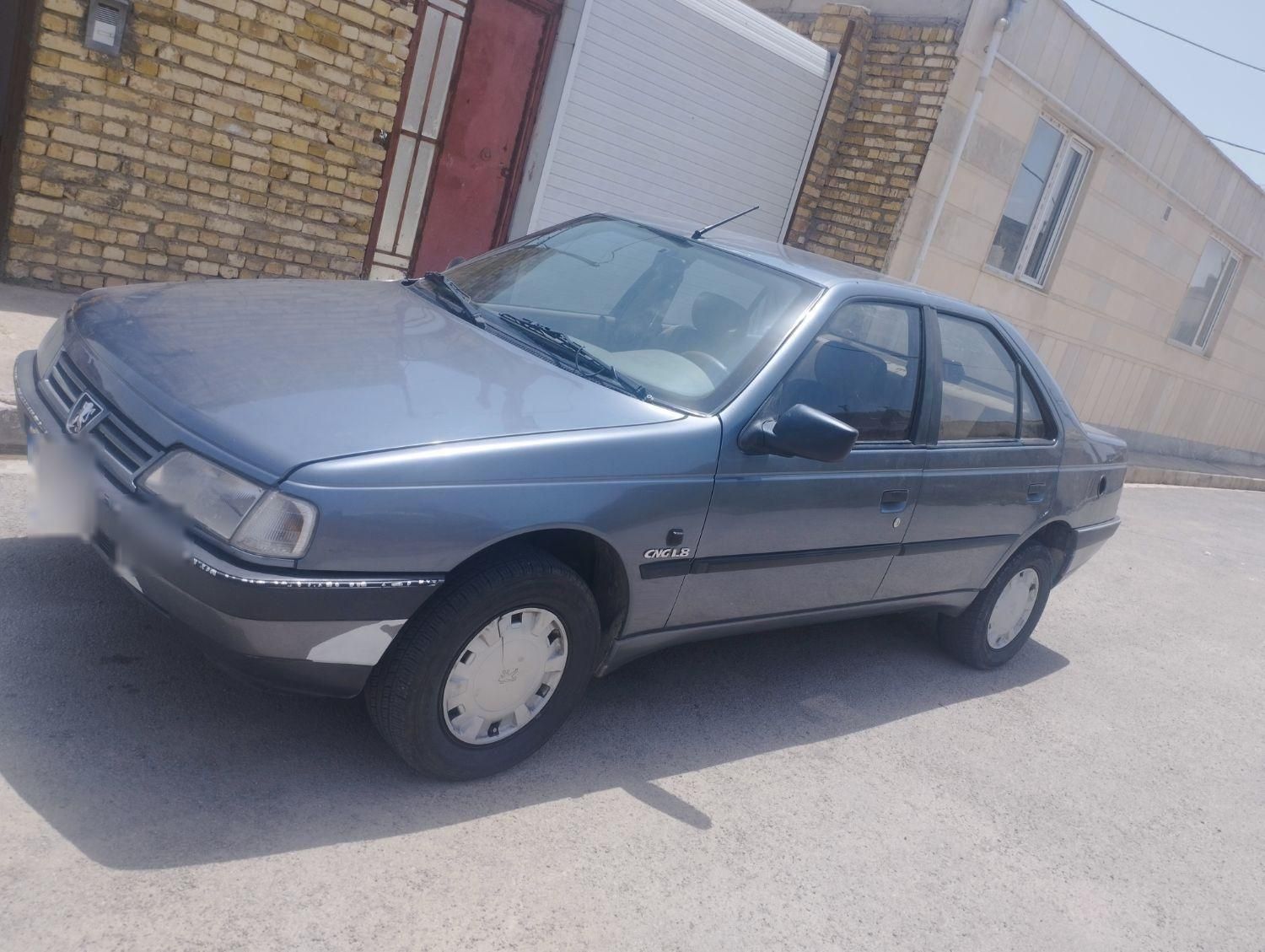 پژو 405 GLX - دوگانه سوز - 1393