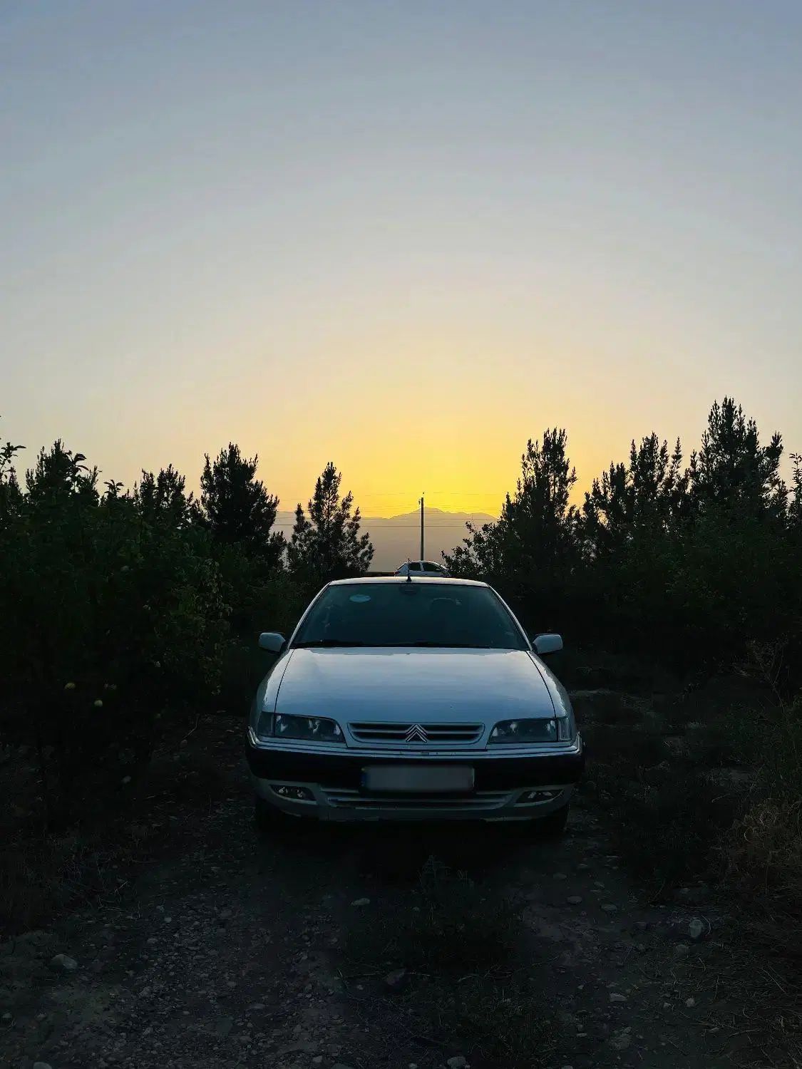 سیتروئن زانتیا X - 1385