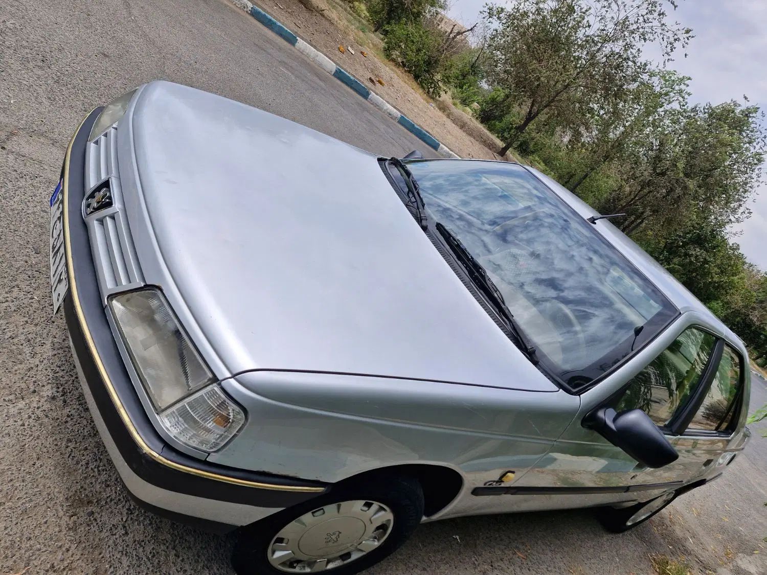 پژو 405 GLX - دوگانه سوز - 1391