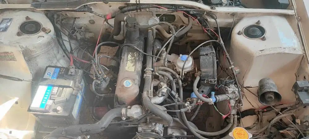پژو آردی دوگانه سوز CNG - 1381