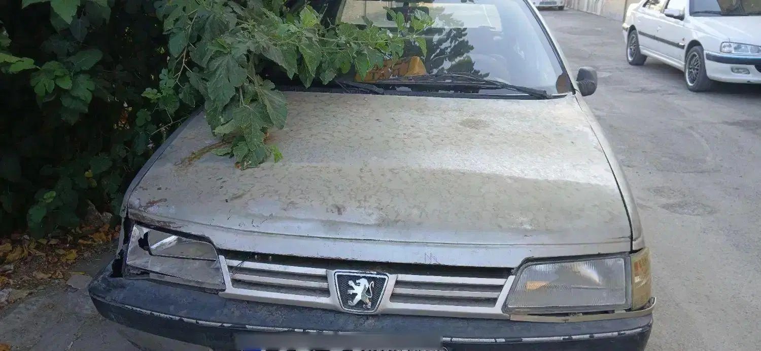 پژو روآ دوگانه سوز - 1386