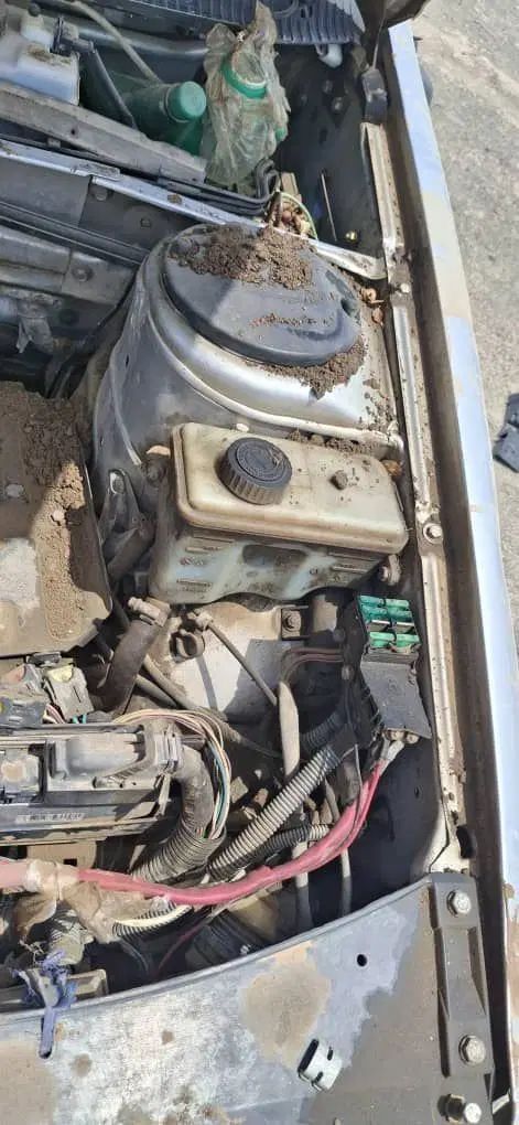 پژو 405 GLX - دوگانه سوز - 1399