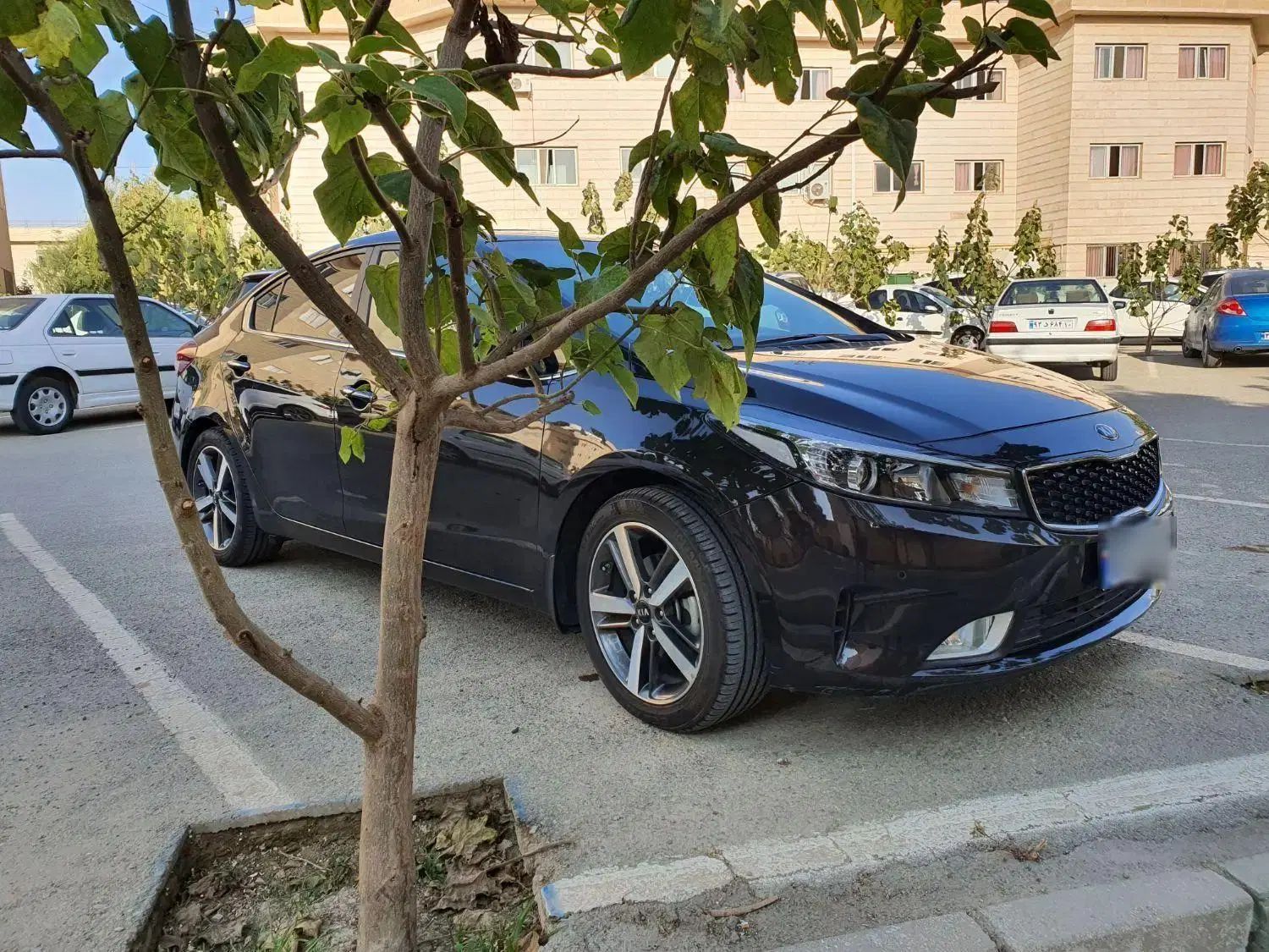 خودرو کیا، سراتو آگهی ann_19921126